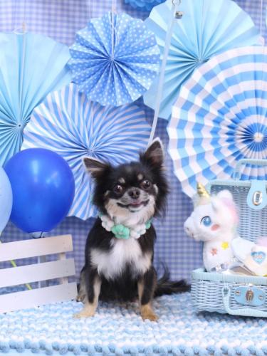 20231108らんまるちゃん